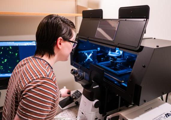Kyle Bledsoe uses the new confocal microscope